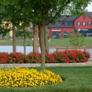 CommercialPhoto6